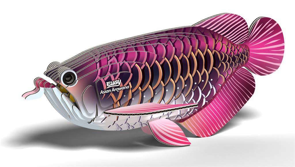 EUGY | ASIAN AROWANA