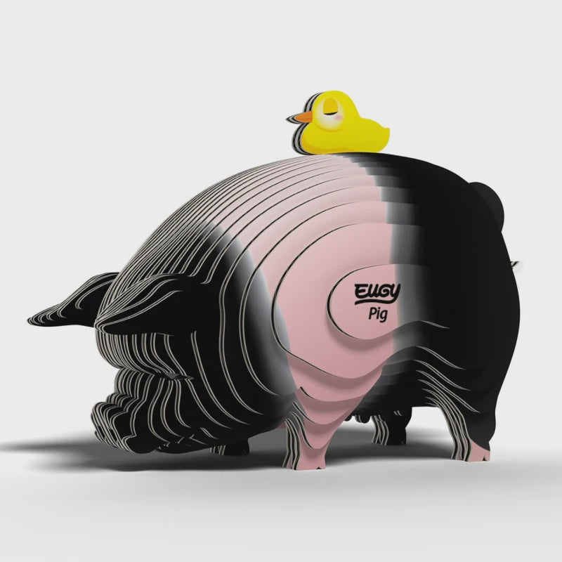 EUGY | PIG