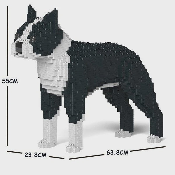 JEKCA | BOSTON TERRIER 01S M01B