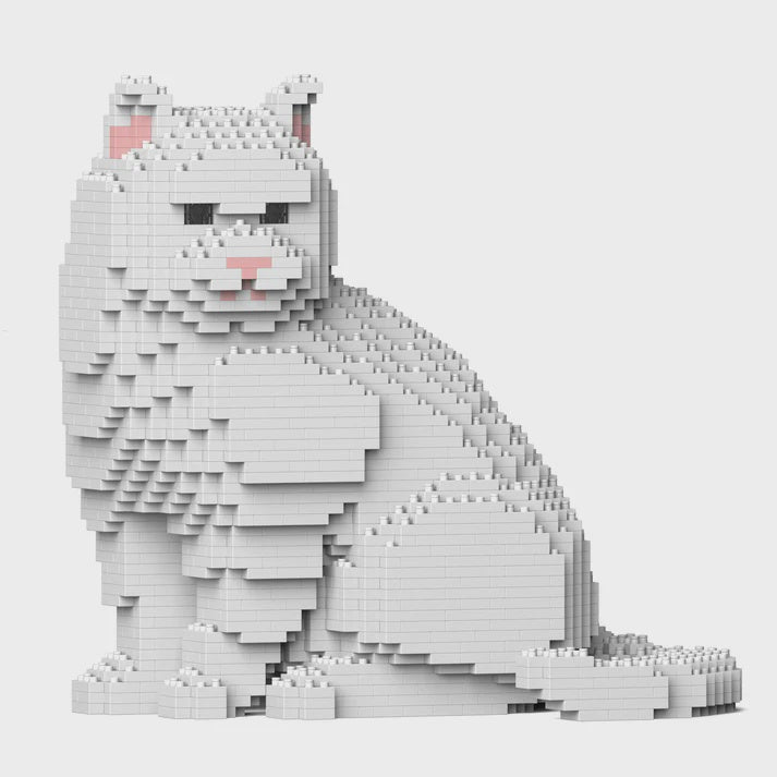 JEKCA | BRITISH SHORTHAIR 01S