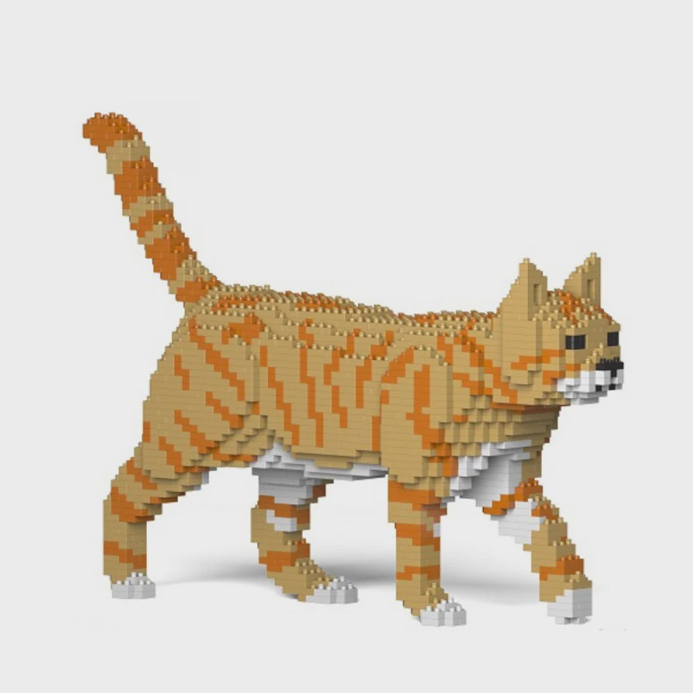 JEKCA | CAT 03S M01B