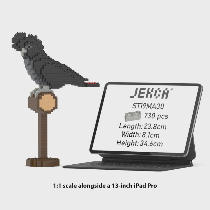 JEKCA | RED-TAILED BLACK COCKATOO