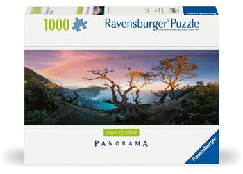 RB 1000 PC | ACID LAKE AT MOUNT IJEN JAVA