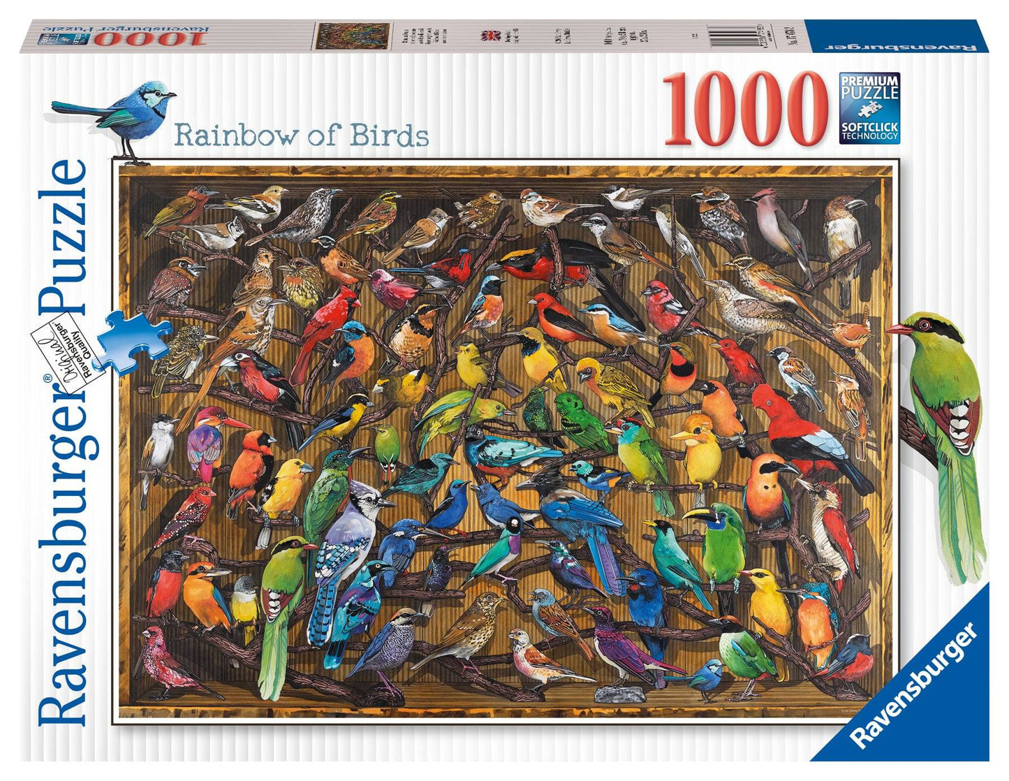 RB 1000 PC | RAINBOW OF BIRDS