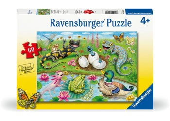 RB (4+) 60 PC HELLO HATCHLINGS