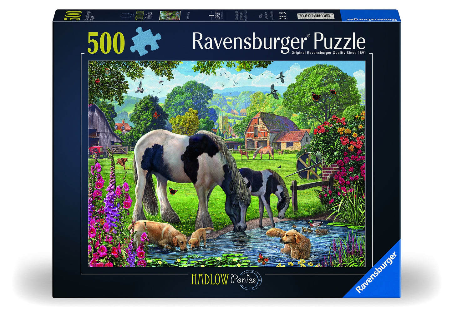 RB 500 PC | HADLOW PONIES