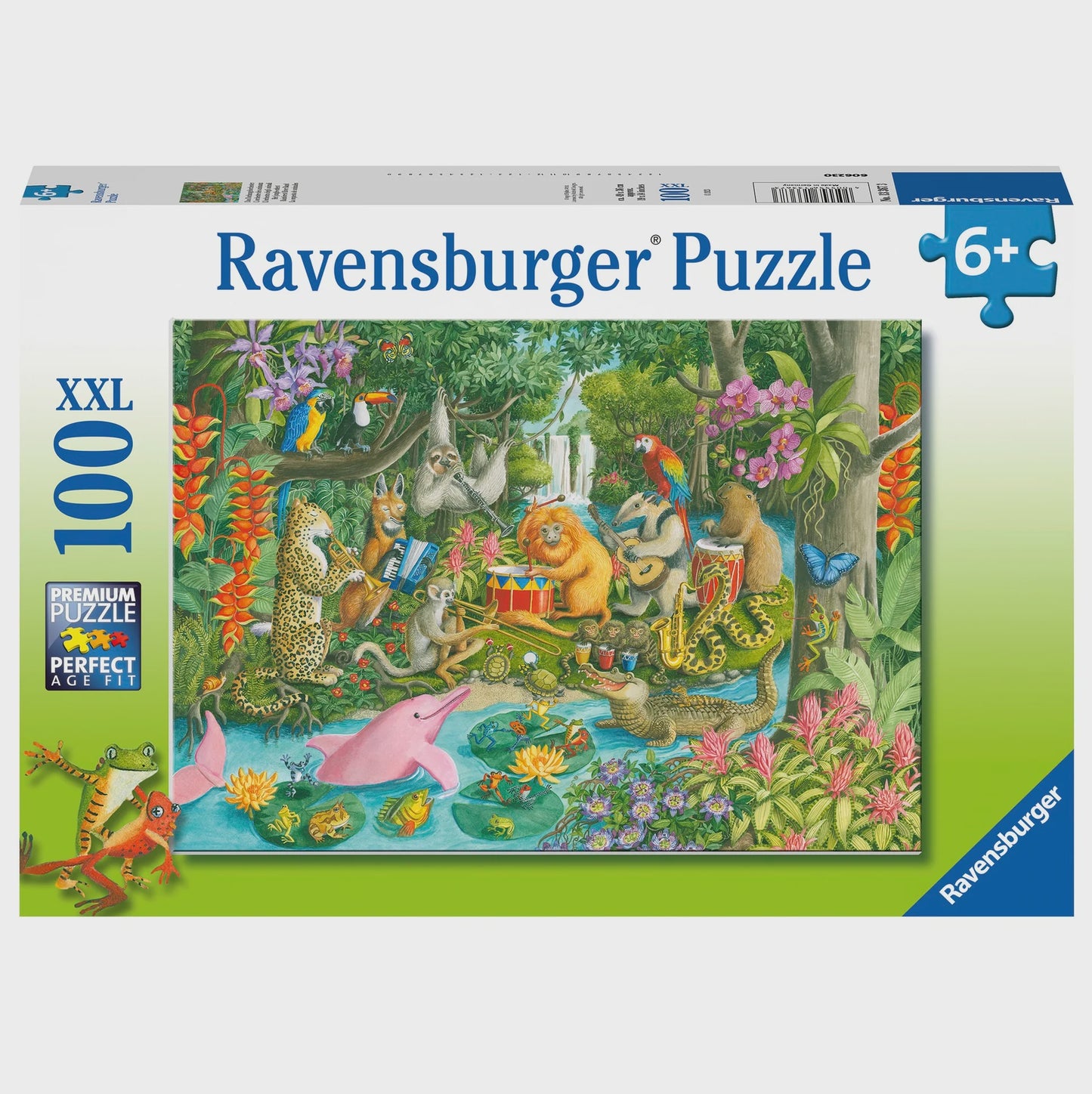 RB (6+) 100 PC | RAINFOREST RIVER BAND
