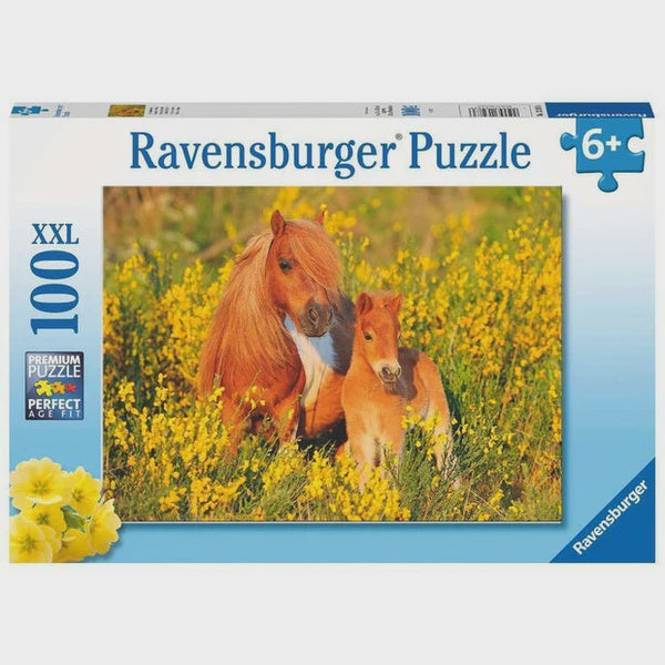 RB (6+) 100 PC | SHETLAND PONIES