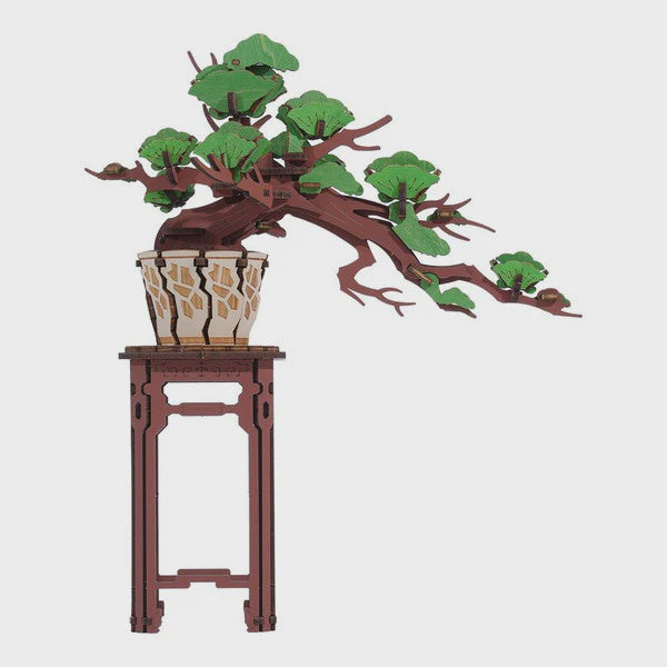 ROLIFE | EVERGREEN PINE BONSAI