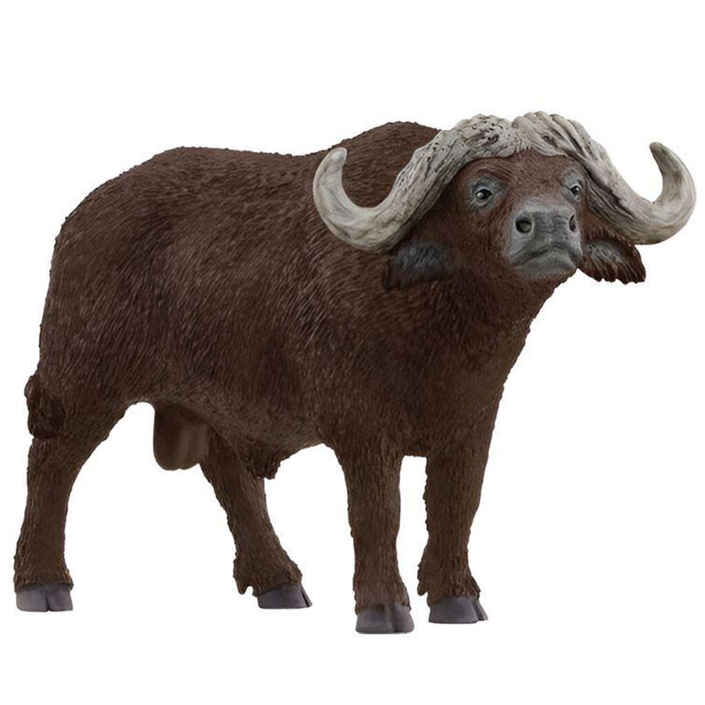 SCHLEICH | AFRICAN BUFFALO