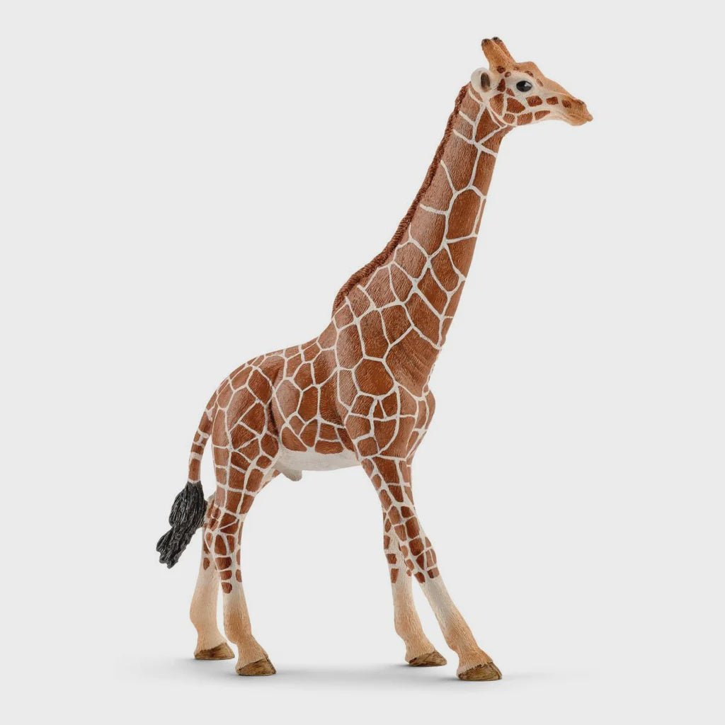SCHLEICH | GIRAFFE MALE