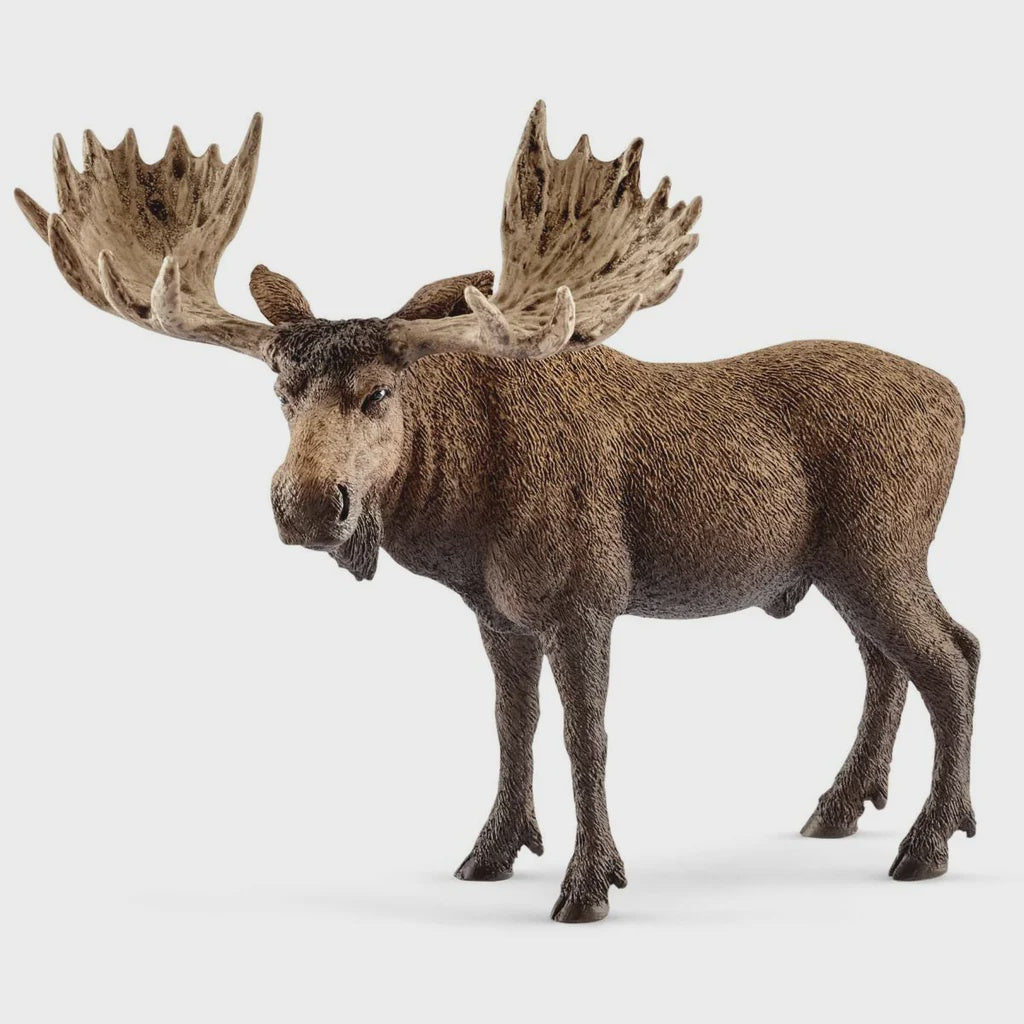 SCHLEICH | MOOSE BULL