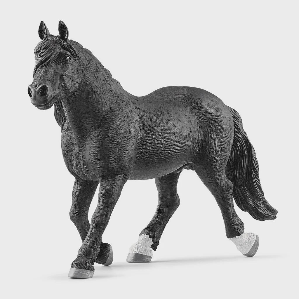 SCHLEICH | NORIKER STALLION