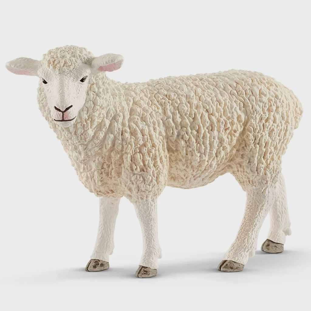 SCHLEICH | SHEEP