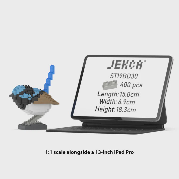 JEKCA | SUPERB FAIRYWREN 01S