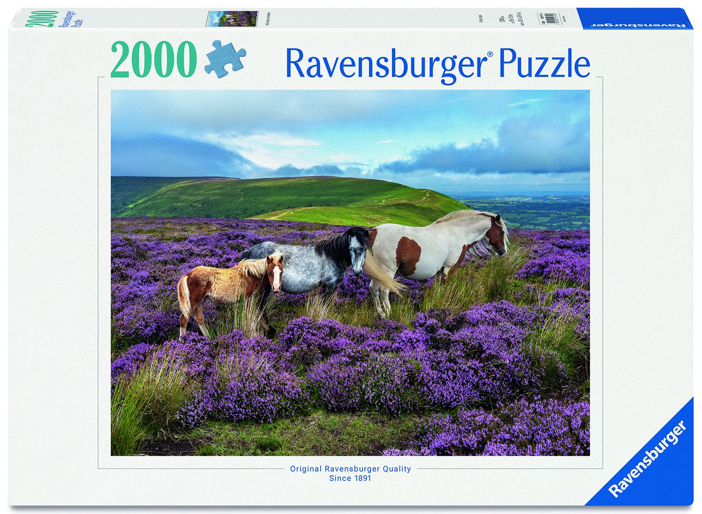 RB 2000 PC | WILD HORSES IN THE HEATHER