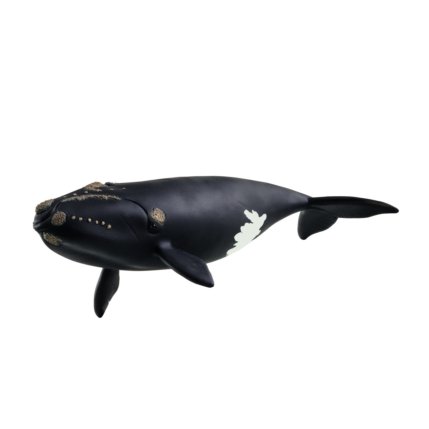 SCHLEICH | NORTH ATLANTIC RIGHT WHALE