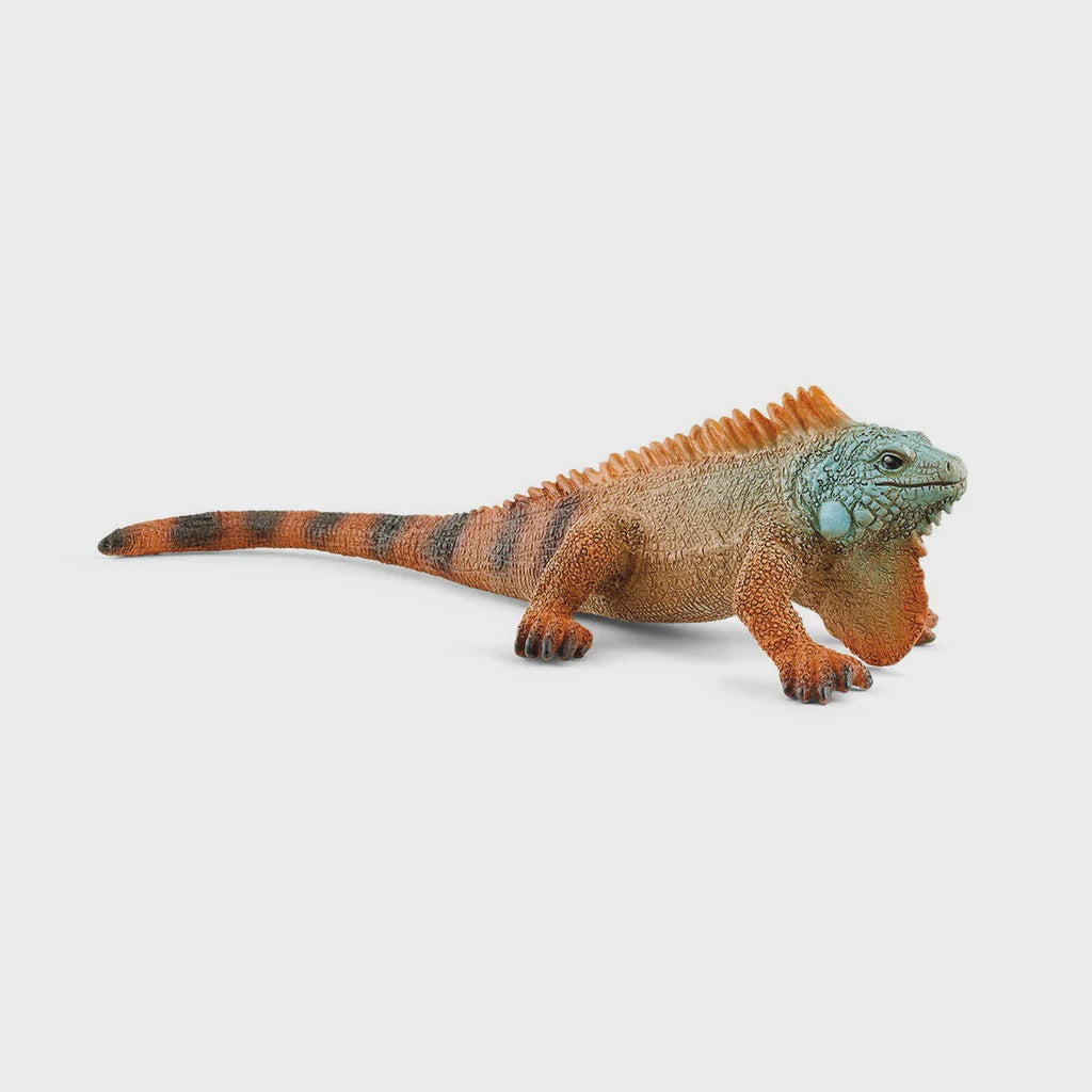 SCHLEICH | IGUANA