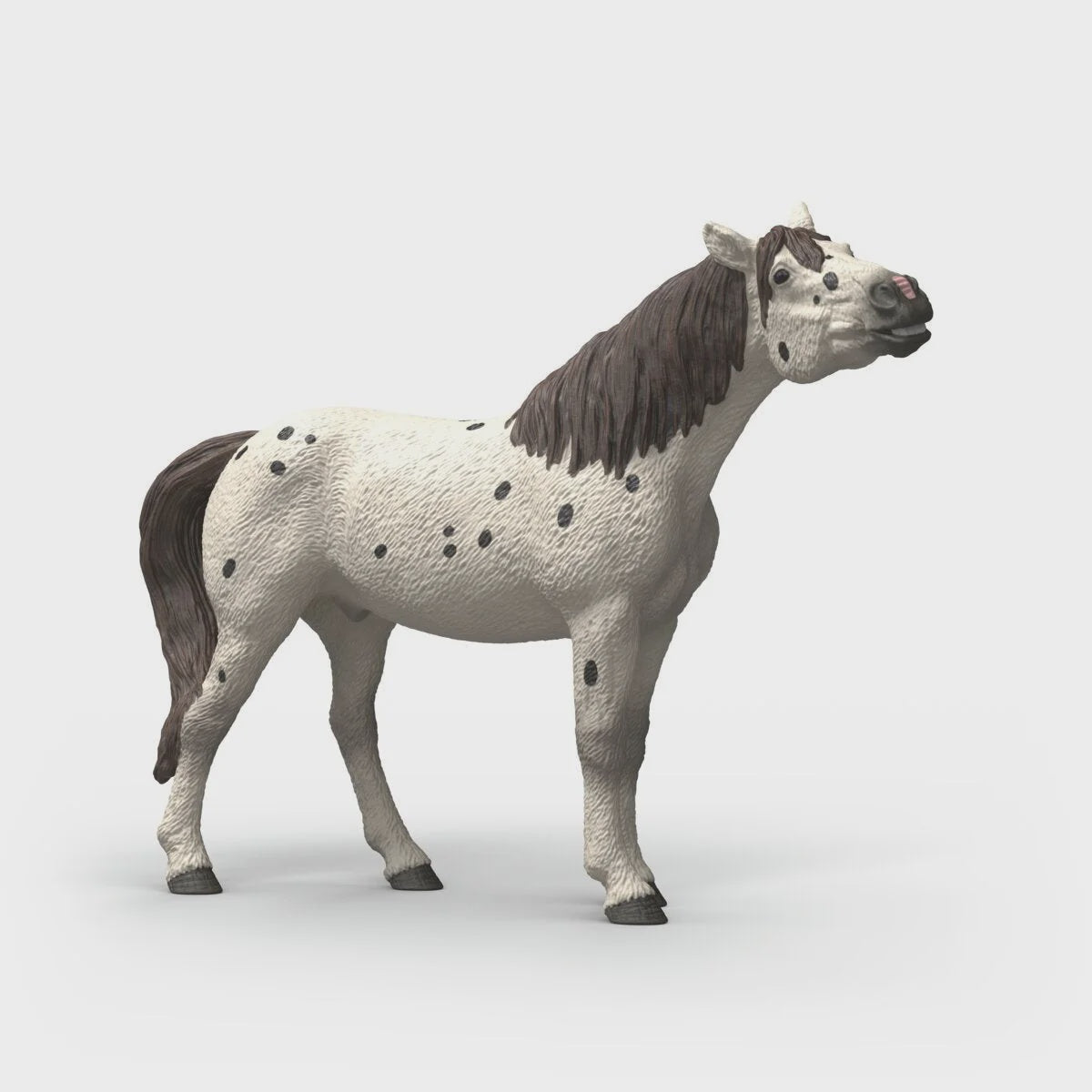 SCHLEICH KNABSTRUPPER GELDING