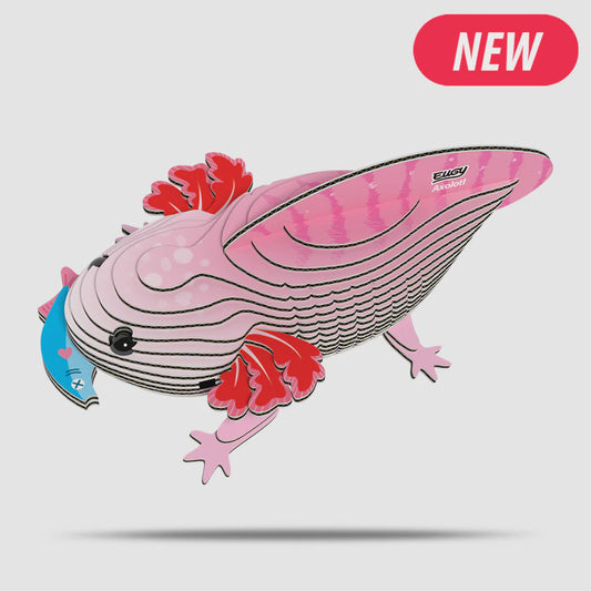 EUGY | AXOLOTL