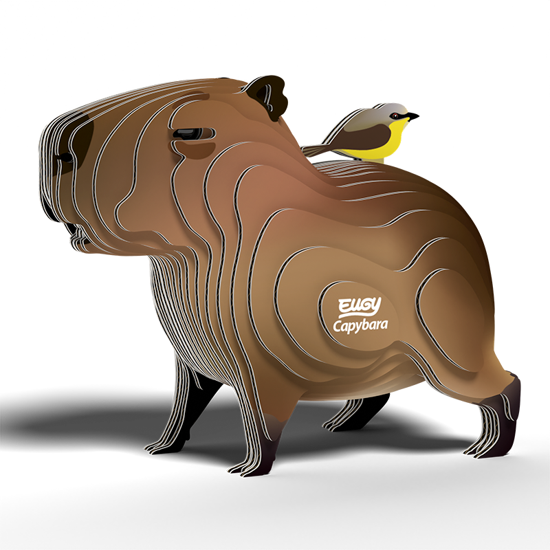 EUGY | CAPYBARA