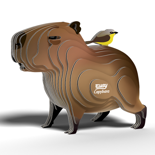 EUGY | CAPYBARA