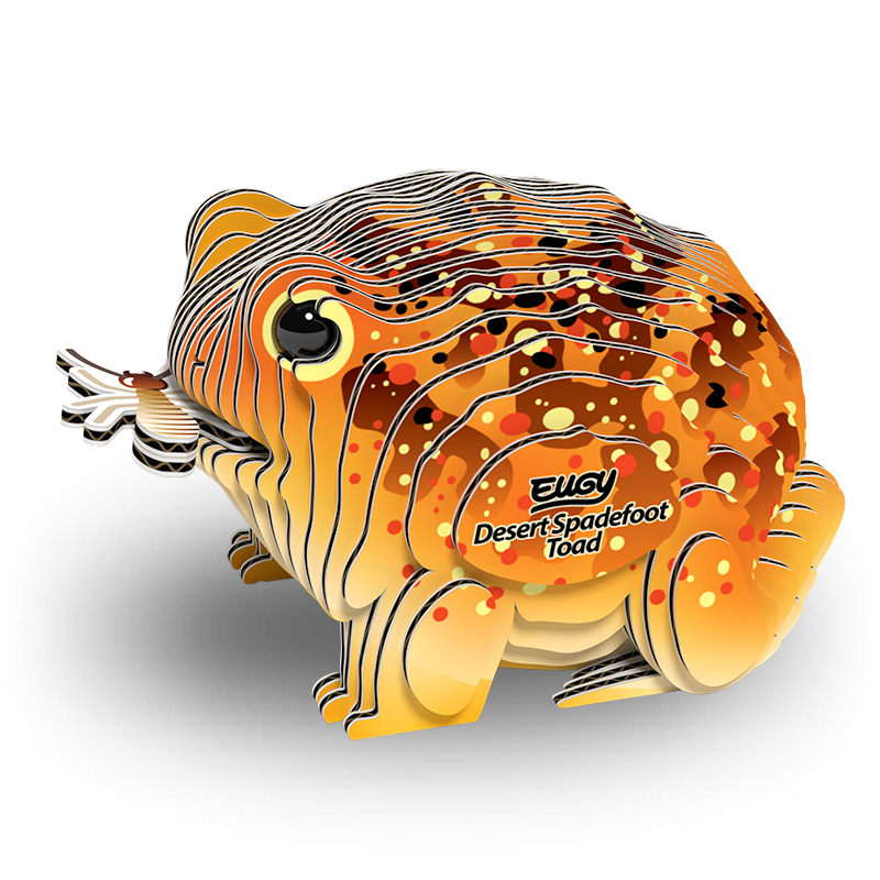 EUGY | DESERT SPADEFOOT TOAD