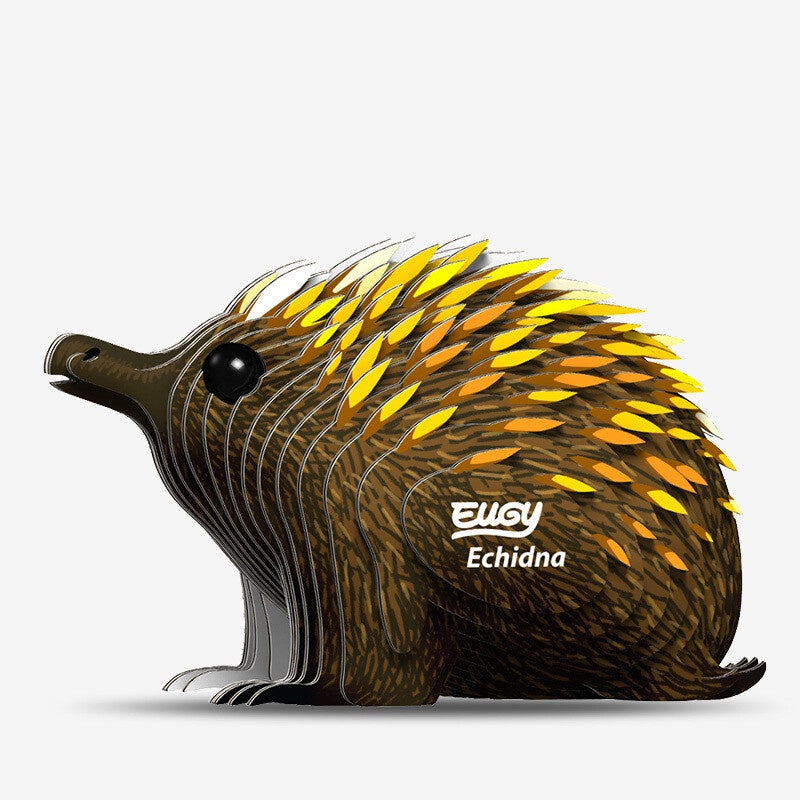 EUGY | ECHIDNA