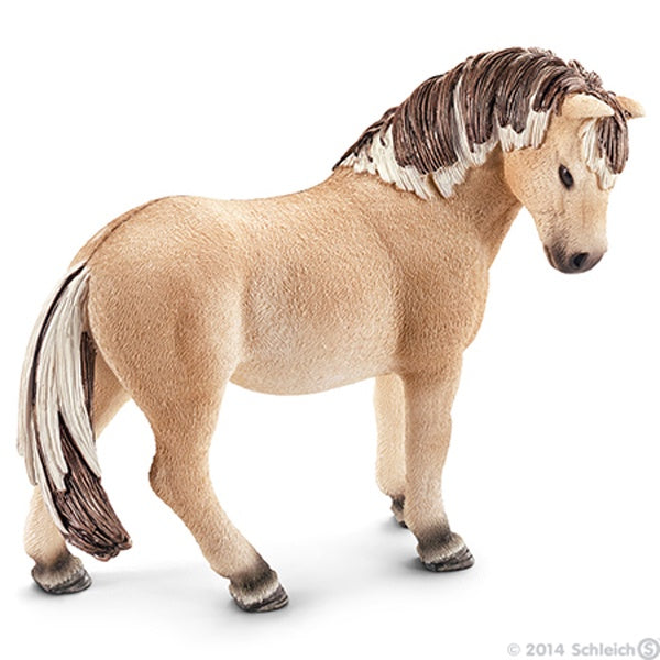 FJORD HORSE MARE