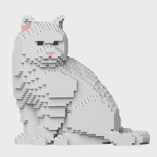 JEKCA | BRITISH SHORTHAIR 01S
