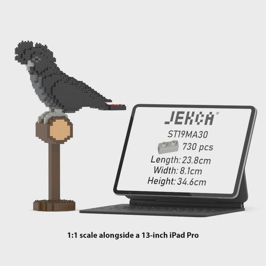 JEKCA | RED-TAILED BLACK COCKATOO