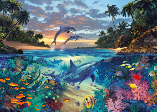 RB 1000 PC | CORAL BAY