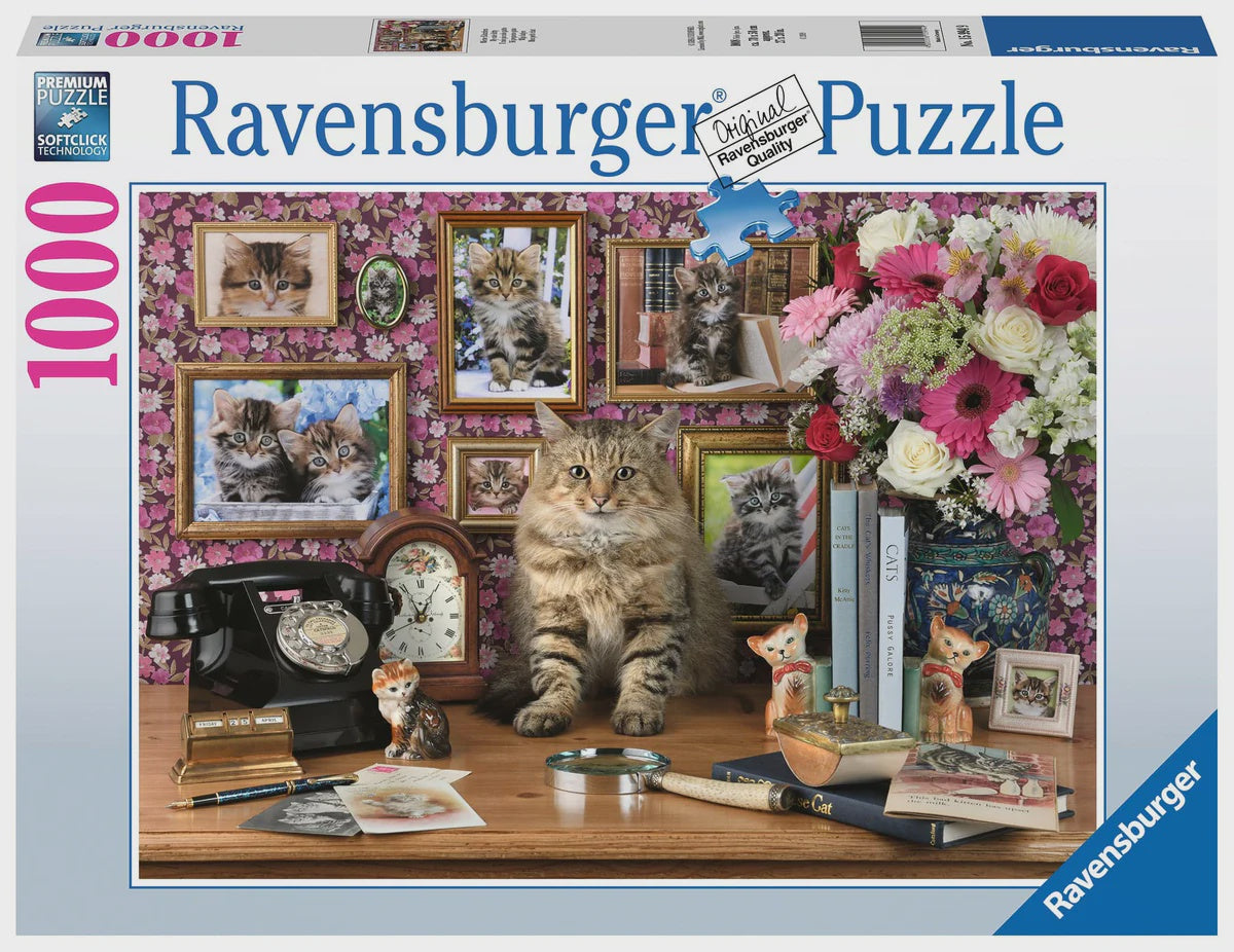 RB 1000 PC | MY CUTE KITTY