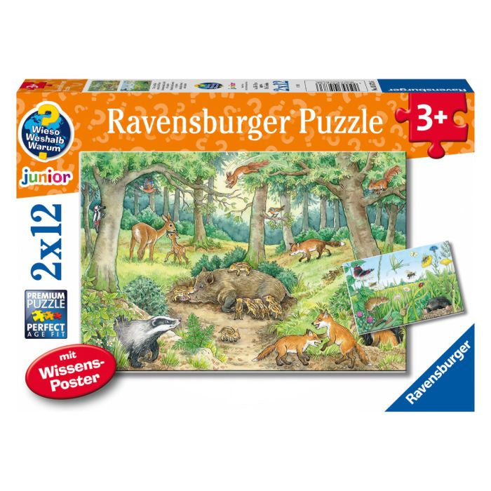 RB (3+) 12 PC x2| ANIMALS IN FOREST & MEADOW