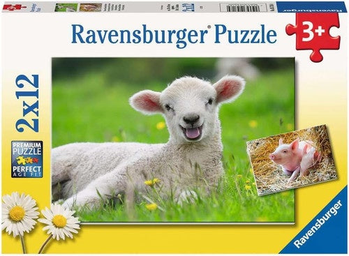 RB (3+) 12 PC x2 | FARM ANIMALS BABIES