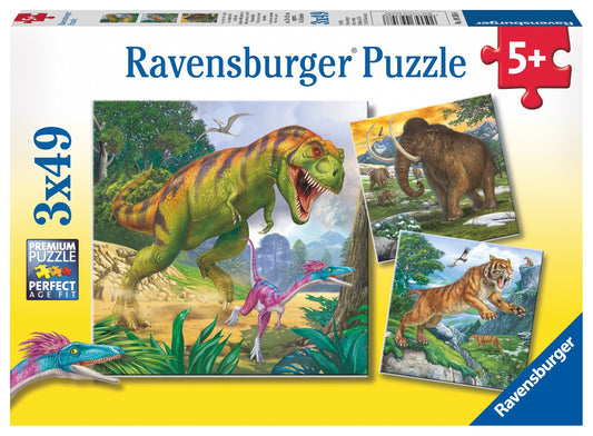 RB (5+) 49 PC x3 | PRIMEVAL RULER