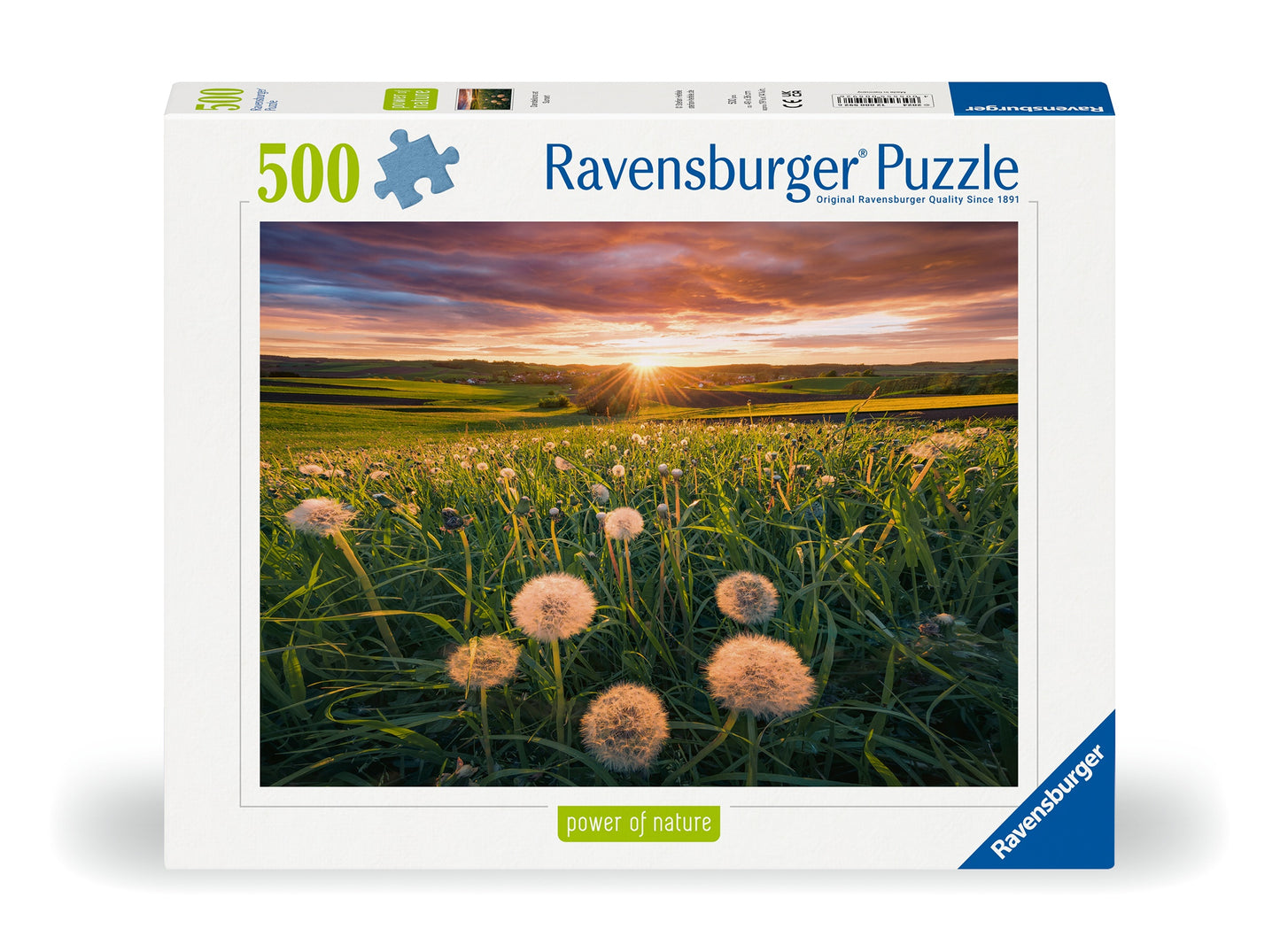 RB 500 PC | DANDELIONS AT SUNSET