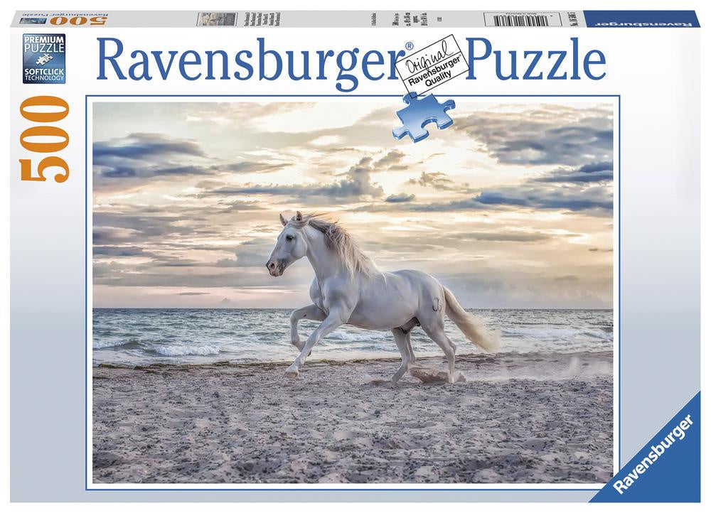 RB 500 PC | EVENING GALLOP