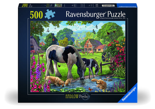 RB 500 PC | HADLOW PONIES