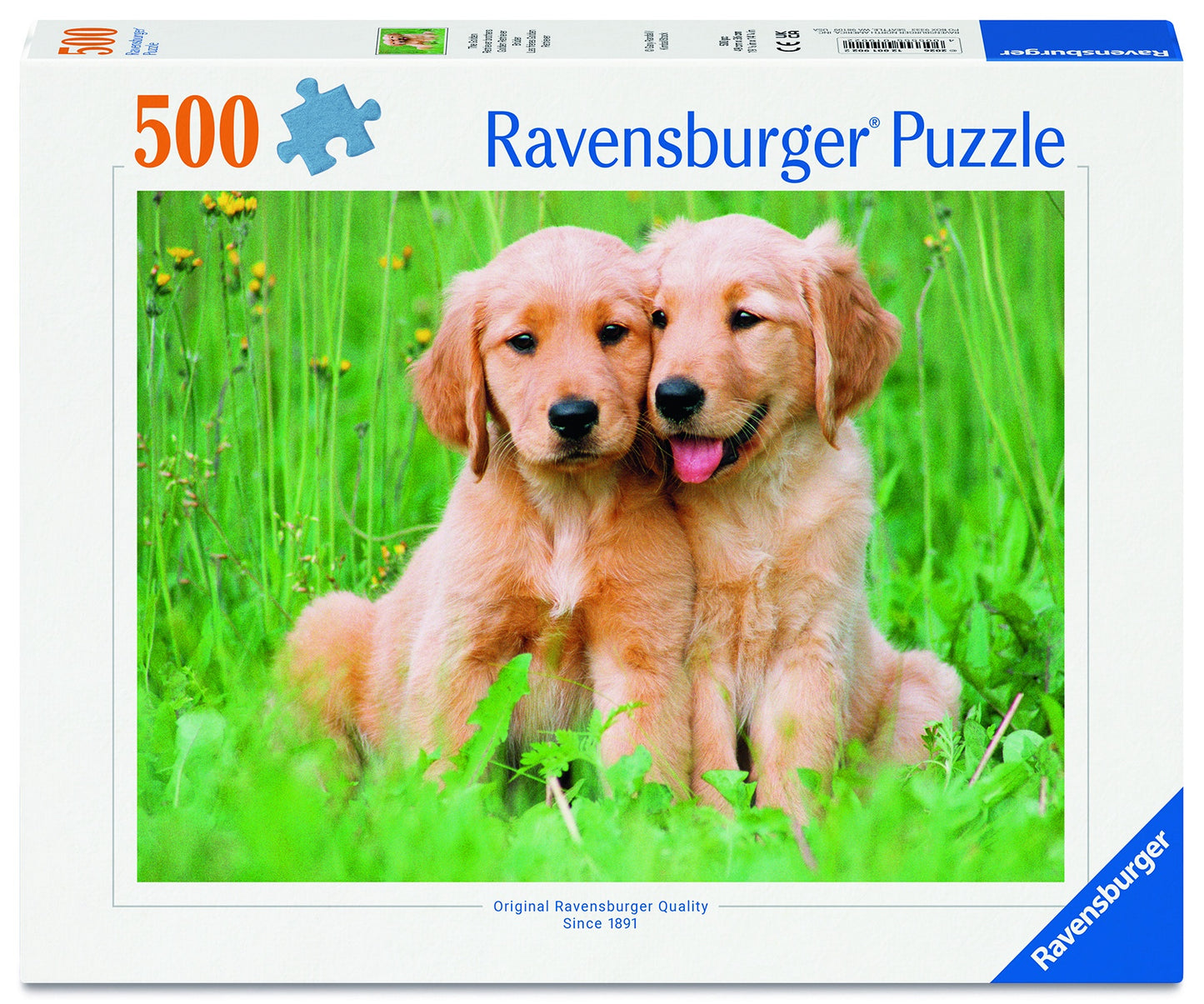 RB 500 PC | THE GOLDEN RETRIEVER BROTHERS