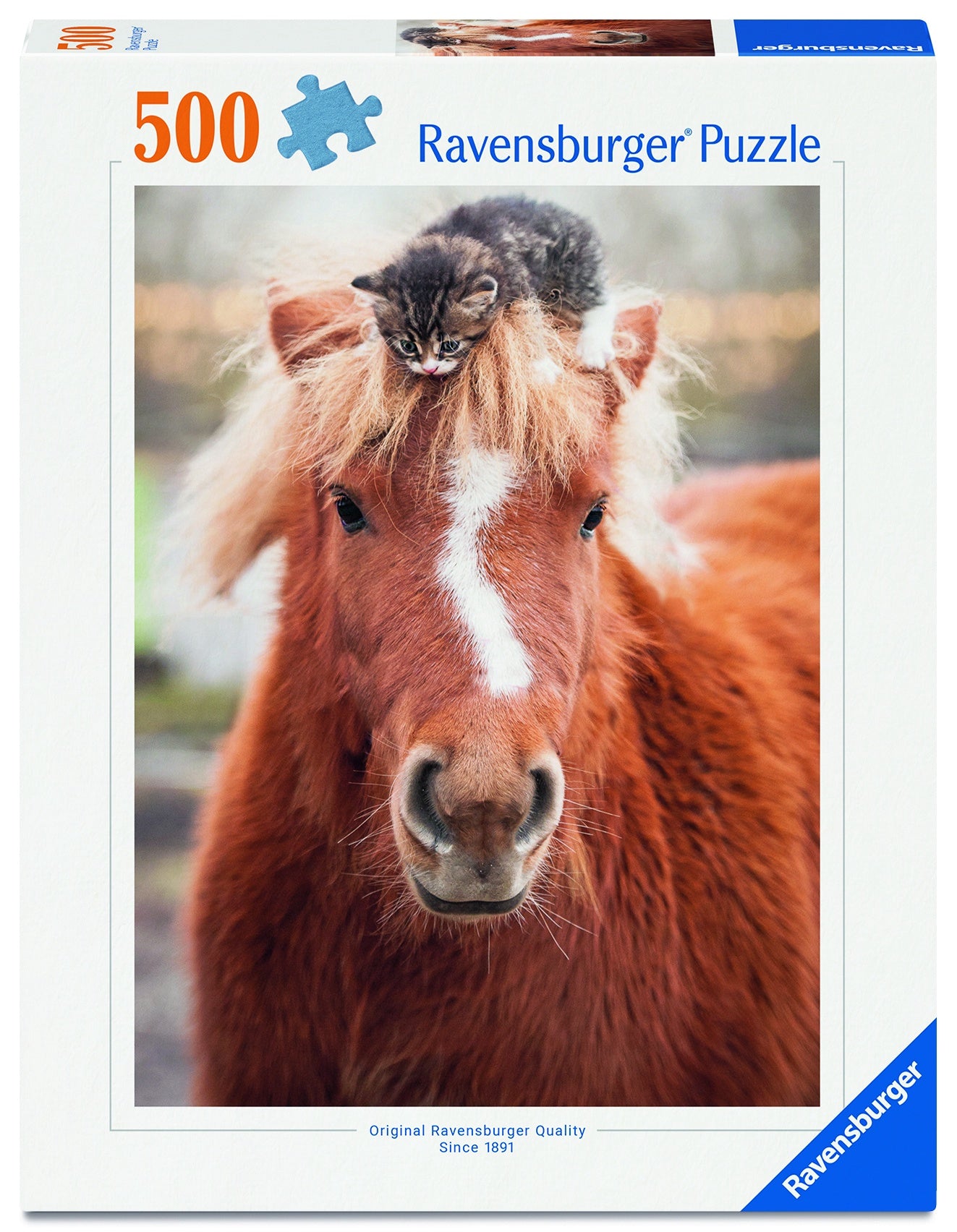 RB 500 PC | THE LITTLE RIDER