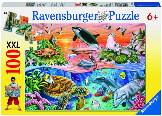 RB (6+) 100 PC | BEAUTIFUL OCEAN