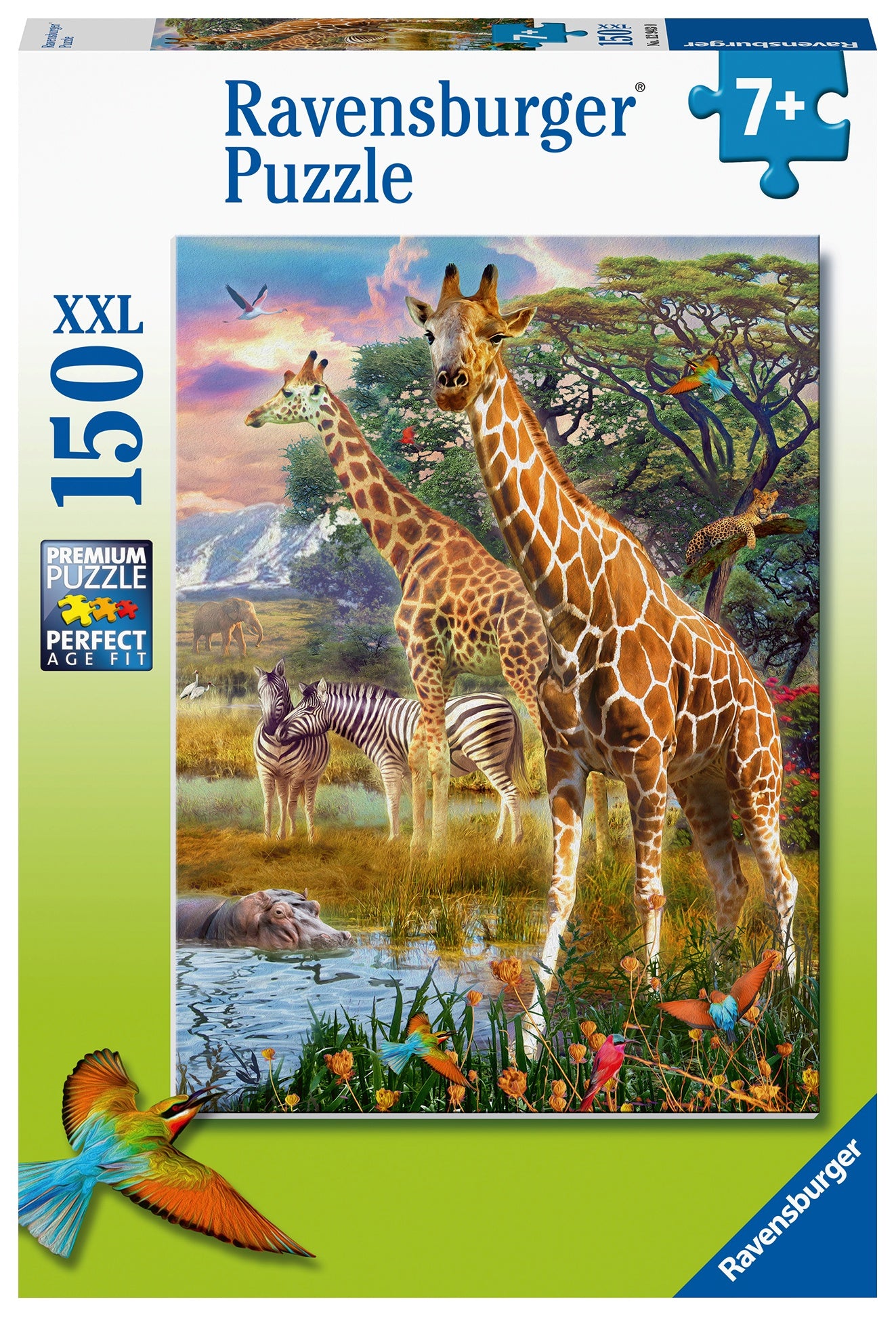 RB (7+) 150 PC | GIRAFFES IN AFRICA