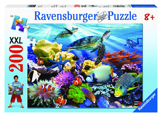 RB (8+) 200 PC | OCEAN TURTLES