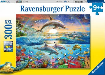 RB (9+) 300 PC | DOLPHIN PARADISE