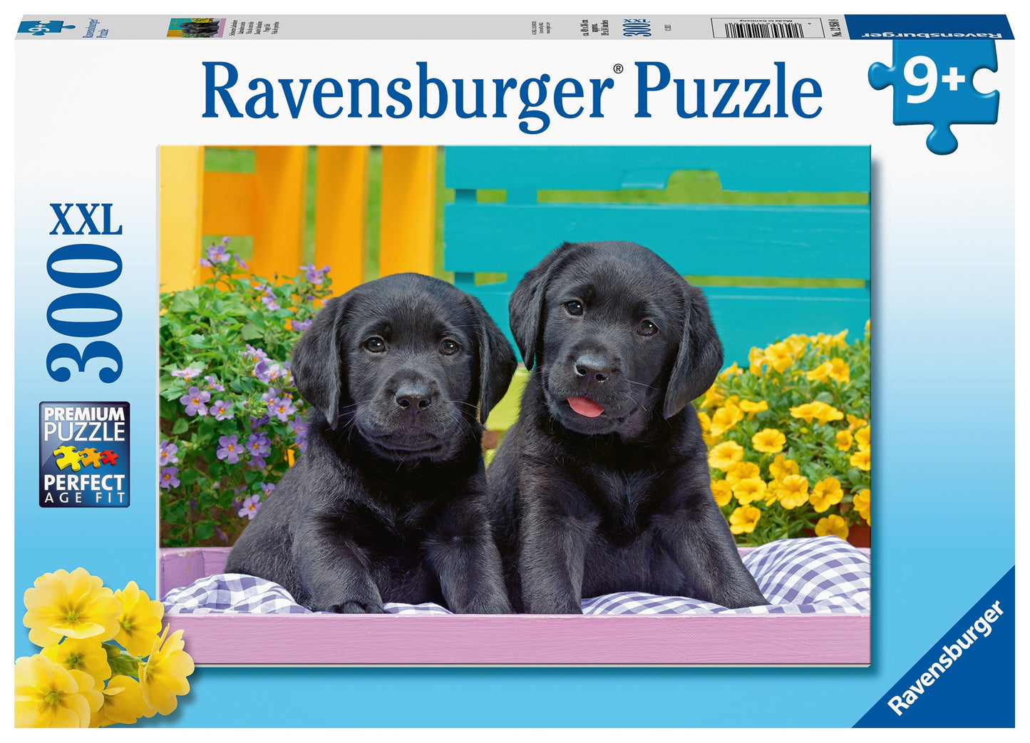 RB (9+) 300 PC | PUPPY LIFE