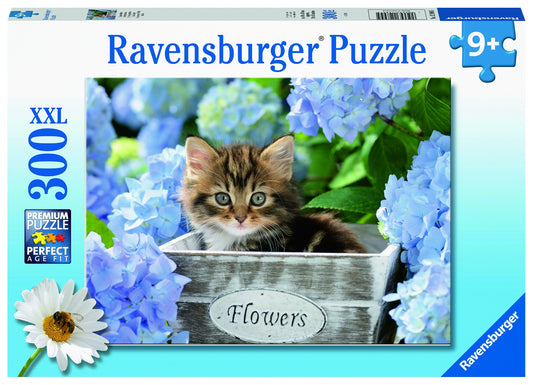 RB (9+) 300 PC | TORTOISESHELL KITTY