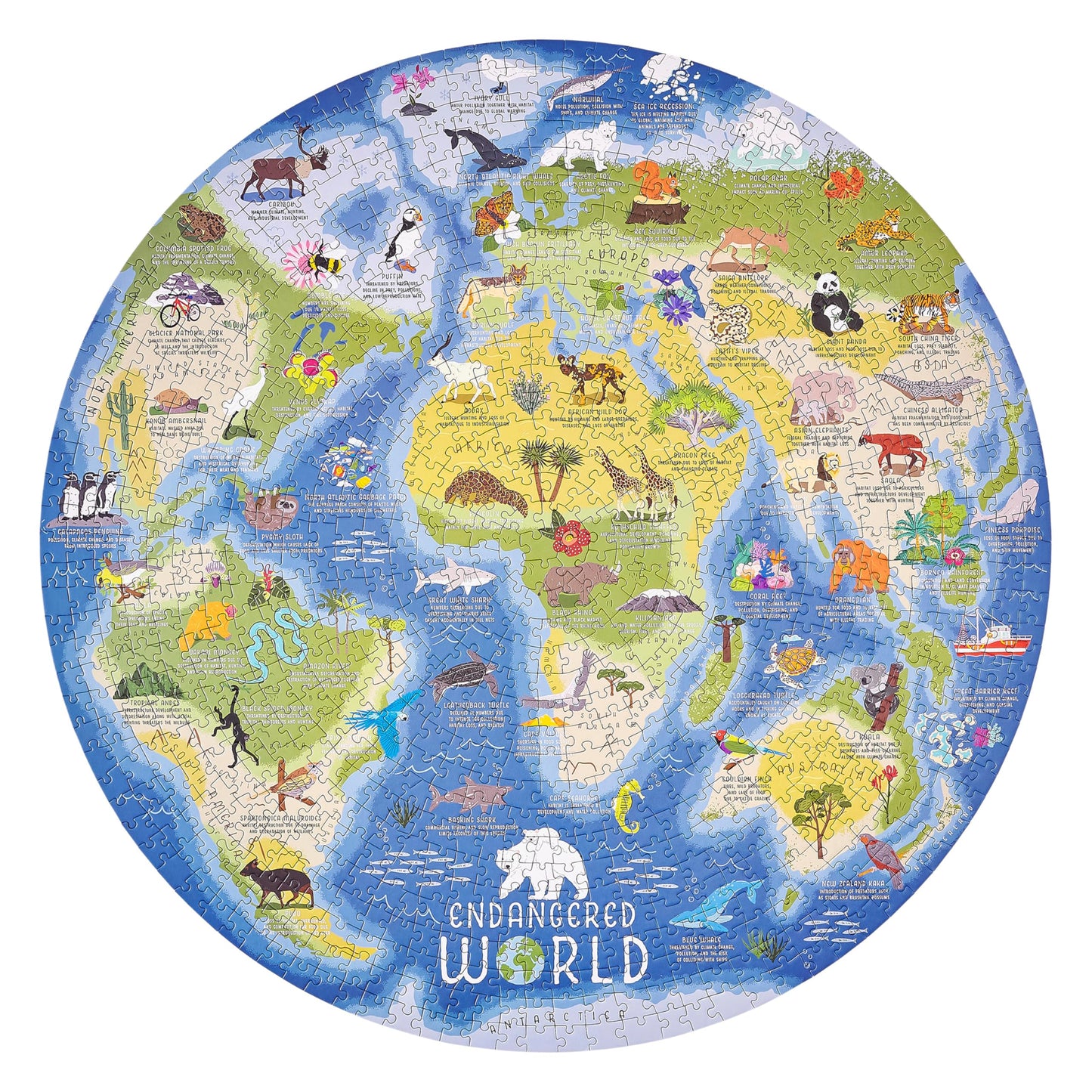 RIDLEYS 1000 PC | ENDANGERED WORLD JIGSAW