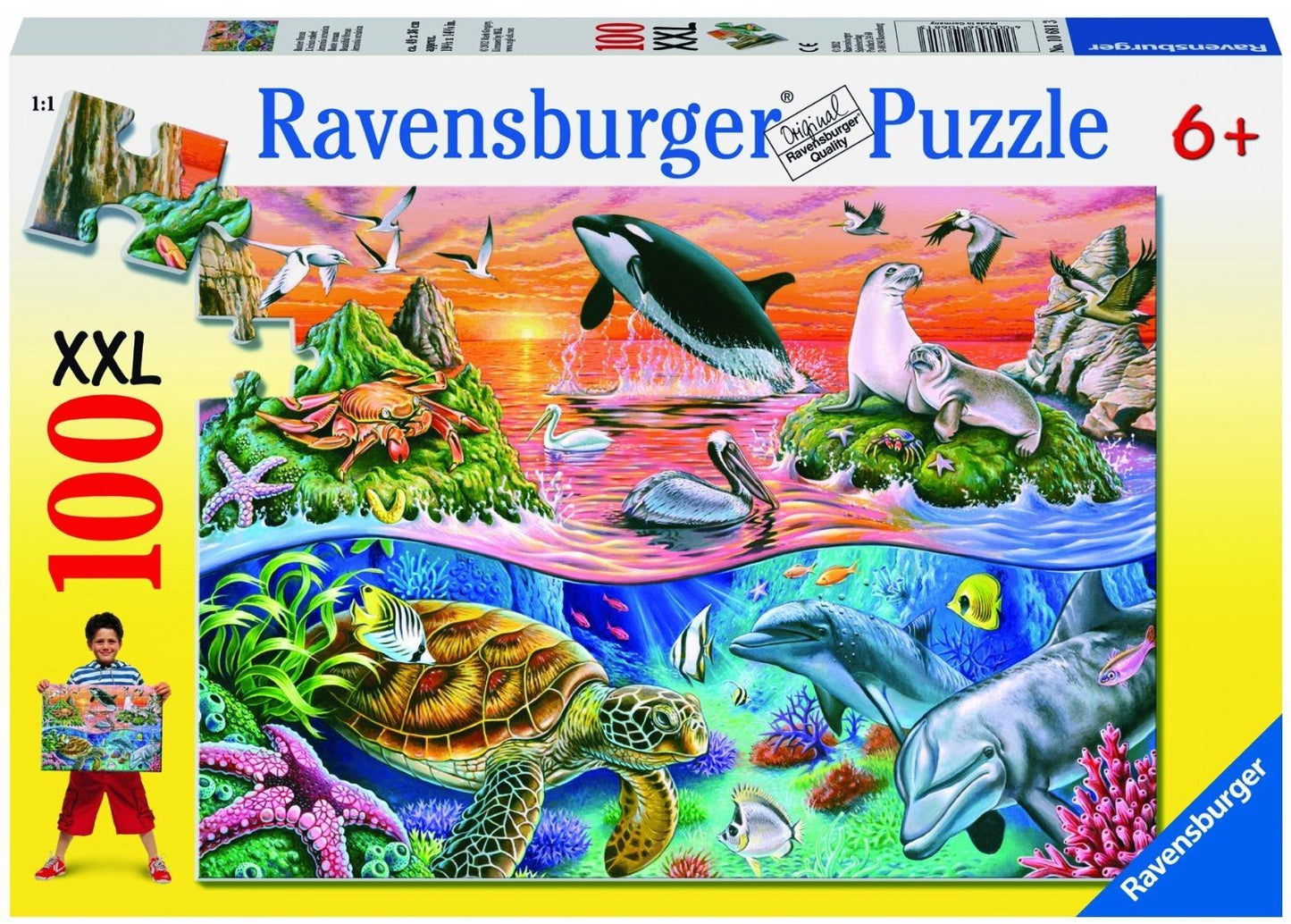 RB (6+) 100 PC | BEAUTIFUL OCEAN