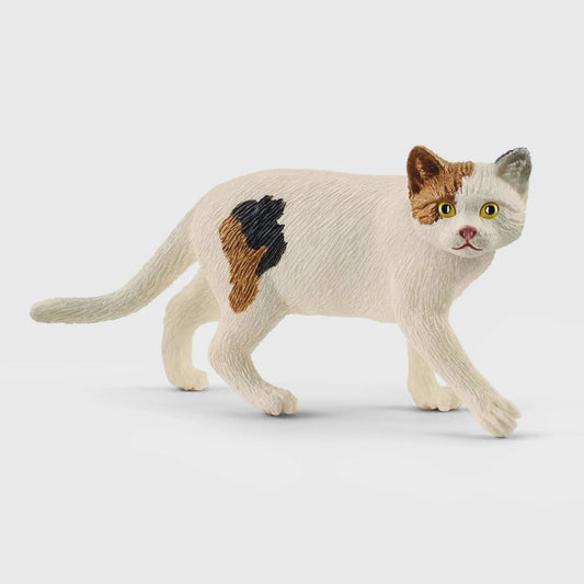 SCHLEICH | AMERICAN SHORTHAIR CAT